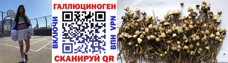Галлюциногенные грибы GOLDEN TEACHER  Тихвин 